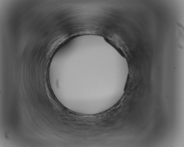 X0000098120001200804251502