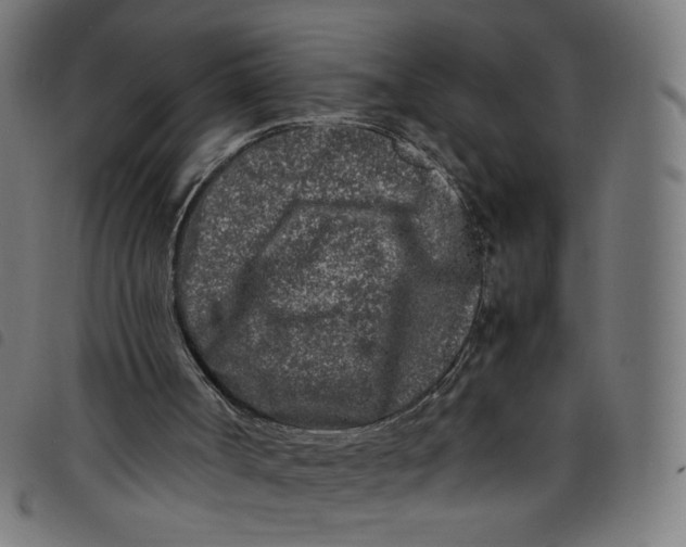 X0000098120002200804251502