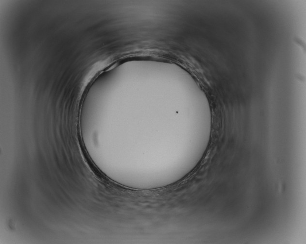X0000098120003200804251502
