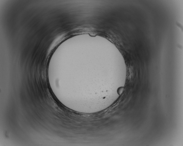 X0000098120004200804251502