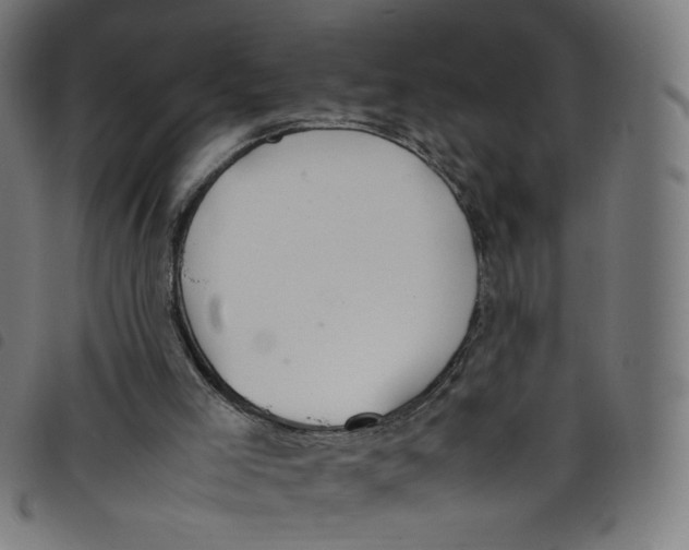 X0000098120005200804251502