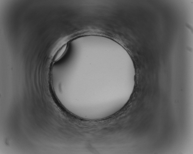X0000098120007200804251502