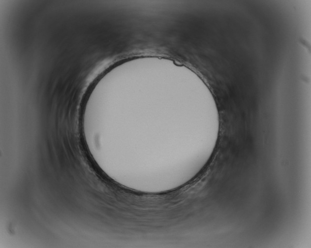 X0000098120008200804251502