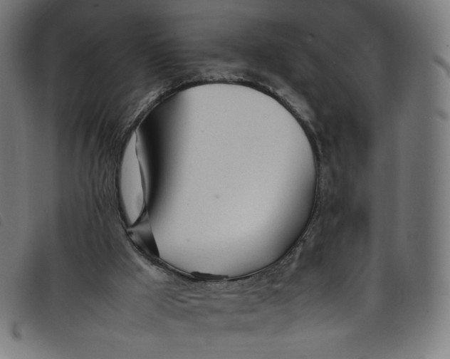 X0000098120009200804251502