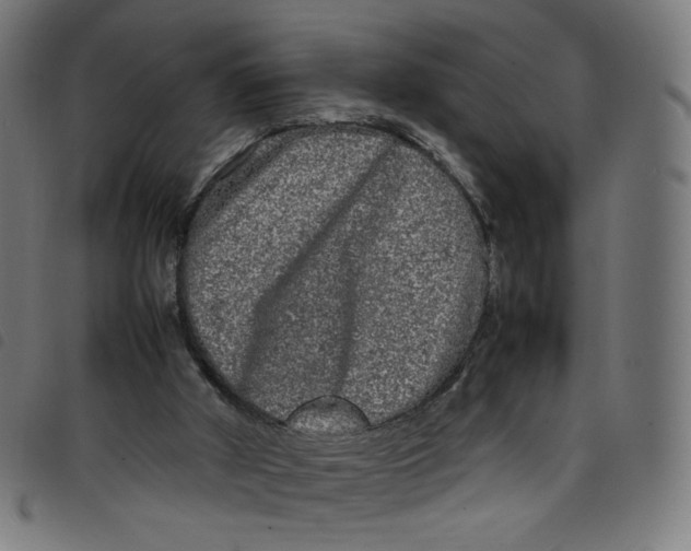 X0000098120010200804251502