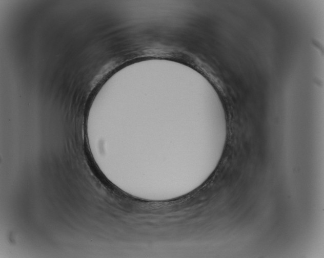 X0000098120011200804251502