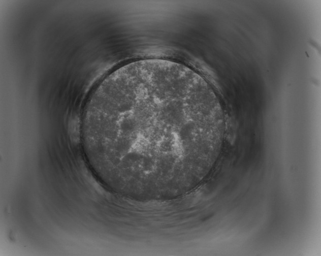 X0000098120012200804251502