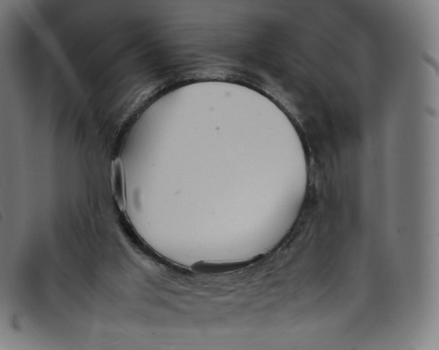 X0000098120013200804251502