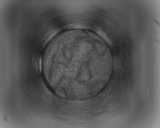 X0000098120014200804251502