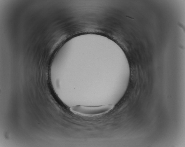 X0000098120015200804251502