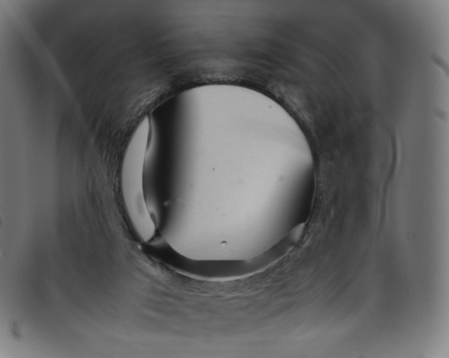 X0000098120017200804251502