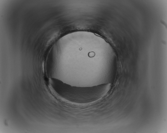 X0000098120019200804251502