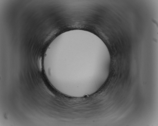 X0000098120020200804251502