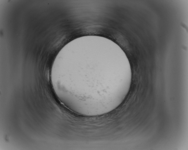 X0000098120021200804251502