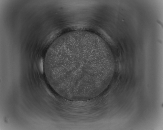 X0000098120022200804251502