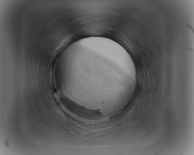 X0000098120023200804251502