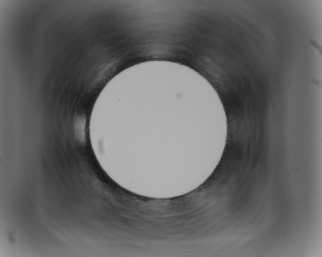 X0000098120024200804251502