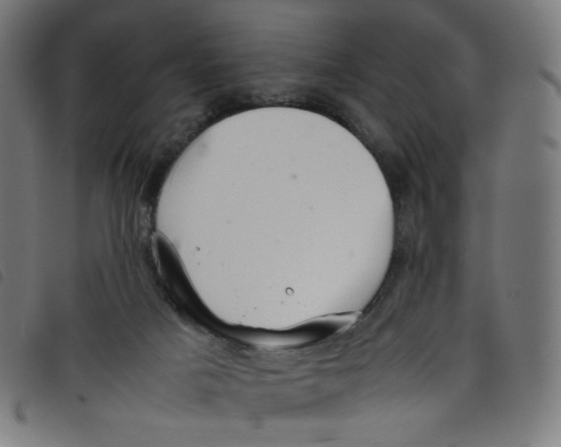 X0000098120025200804251502
