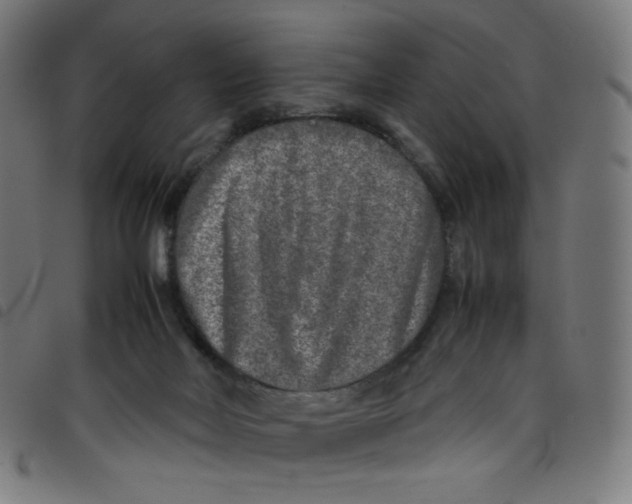 X0000098120026200804251502