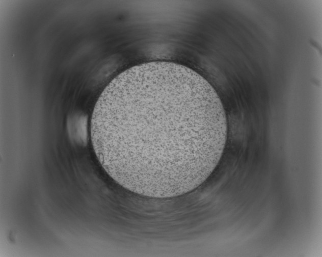 X0000098120028200804251502