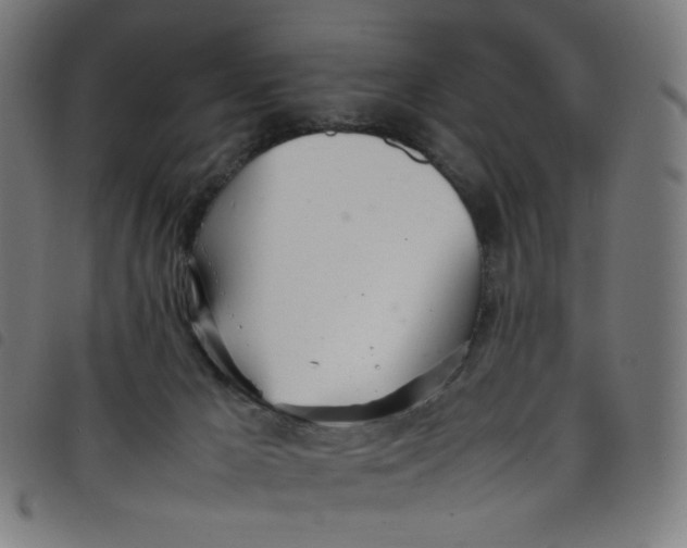 X0000098120029200804251502