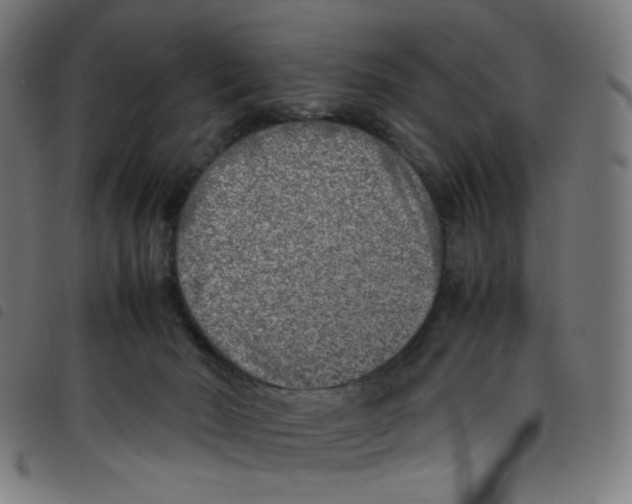 X0000098120030200804251502