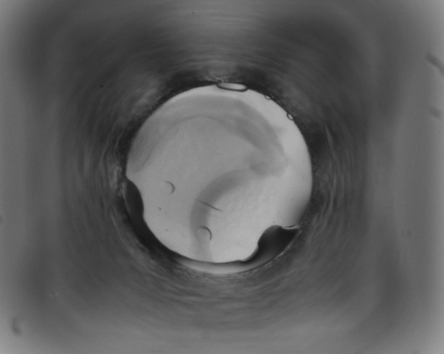 X0000098120031200804251502