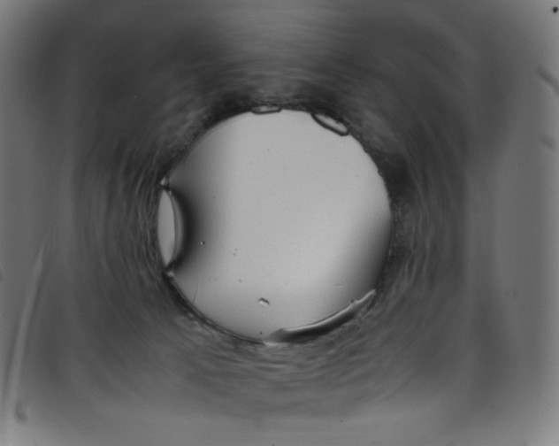 X0000098120033200804251502