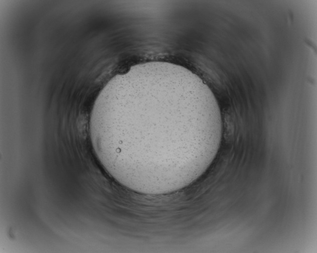 X0000098120034200804251502