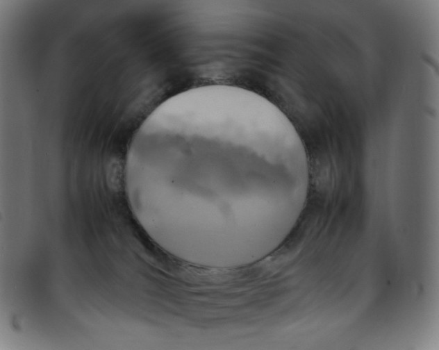 X0000098120036200804251502