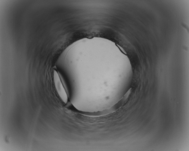 X0000098120037200804251502