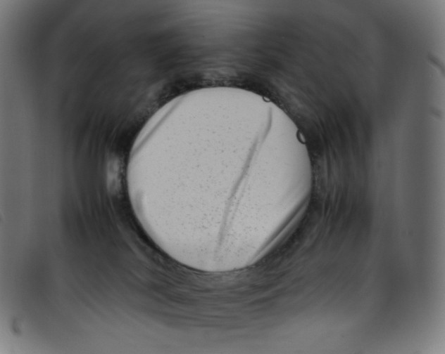 X0000098120038200804251502