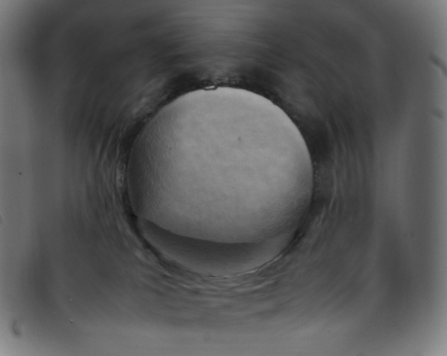 X0000098120039200804251502