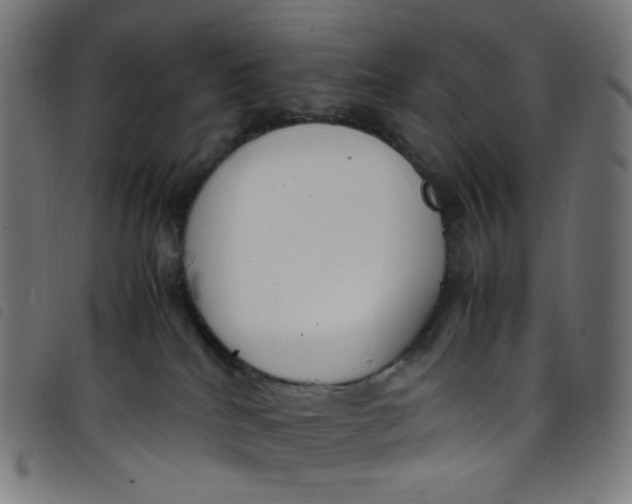 X0000098120040200804251502