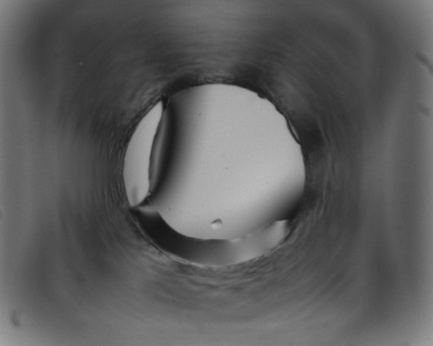X0000098120041200804251502