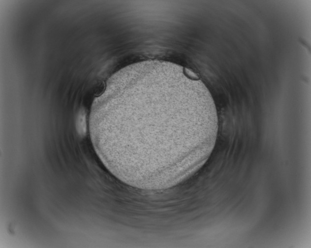 X0000098120042200804251502