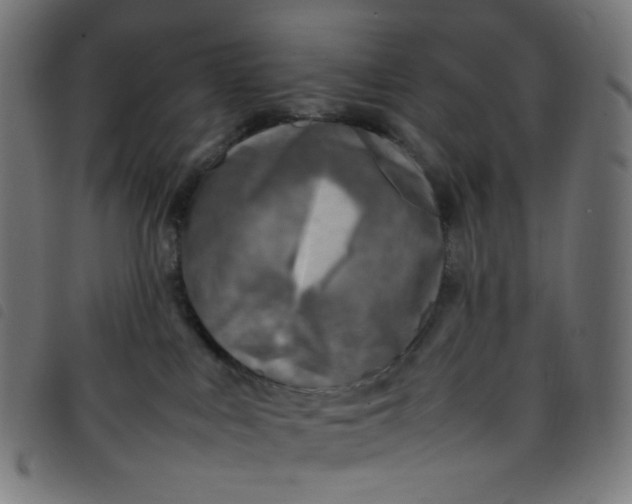X0000098120043200804251502