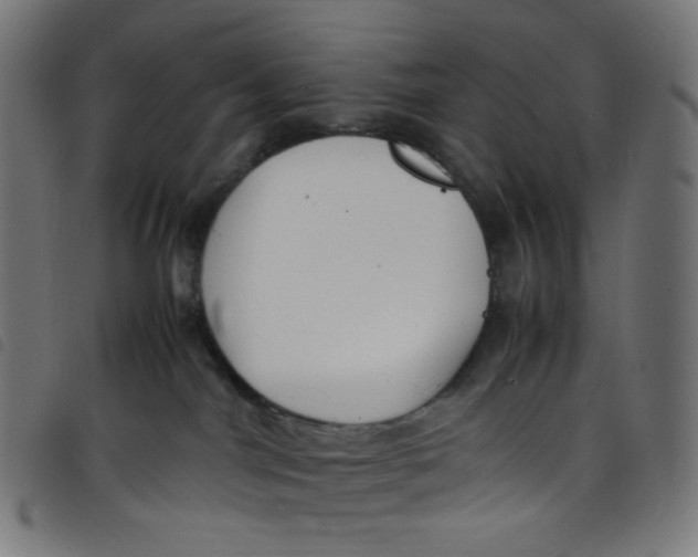 X0000098120044200804251502