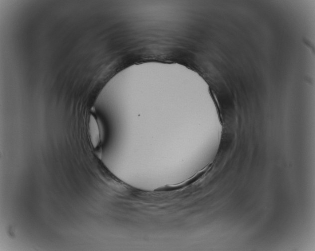 X0000098120045200804251502