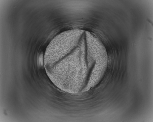 X0000098120046200804251502
