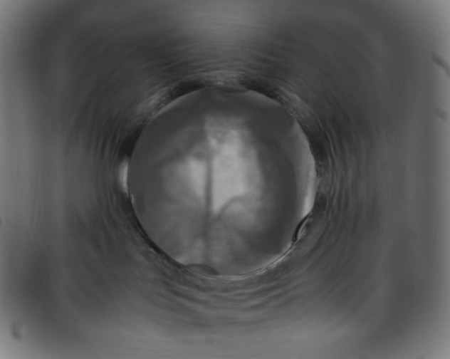 X0000098120047200804251502