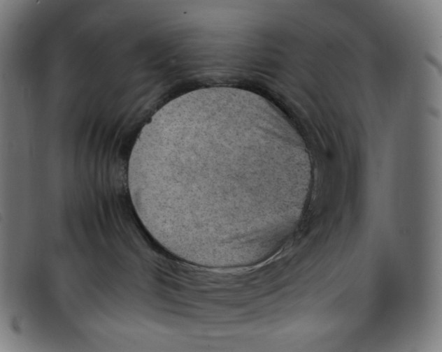 X0000098120048200804251502