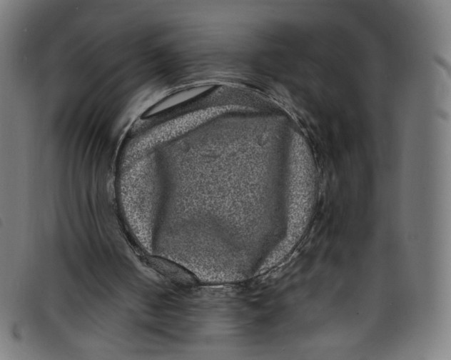 X0000098120050200804251501