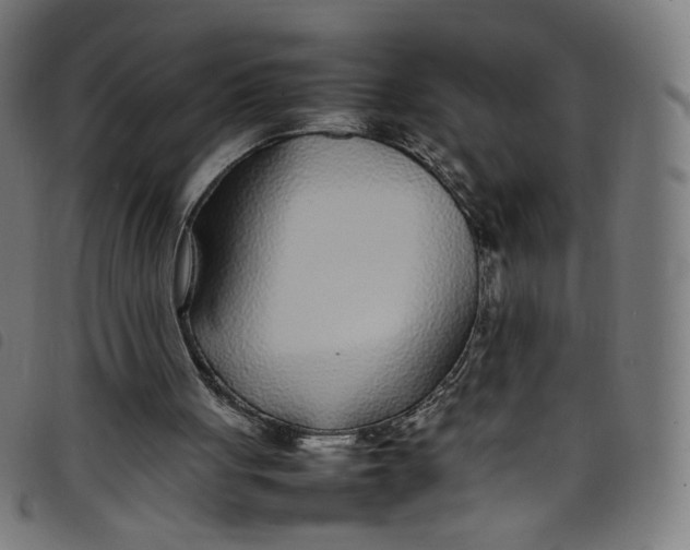 X0000098120051200804251501