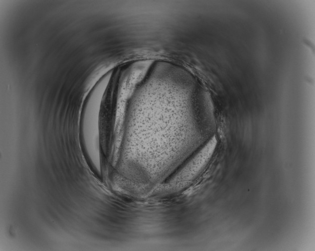 X0000098120052200804251501