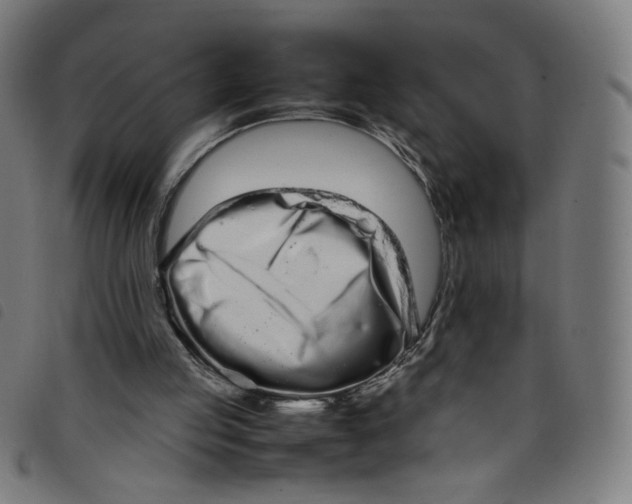 X0000098120053200804251501