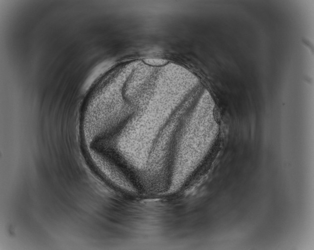 X0000098120054200804251501