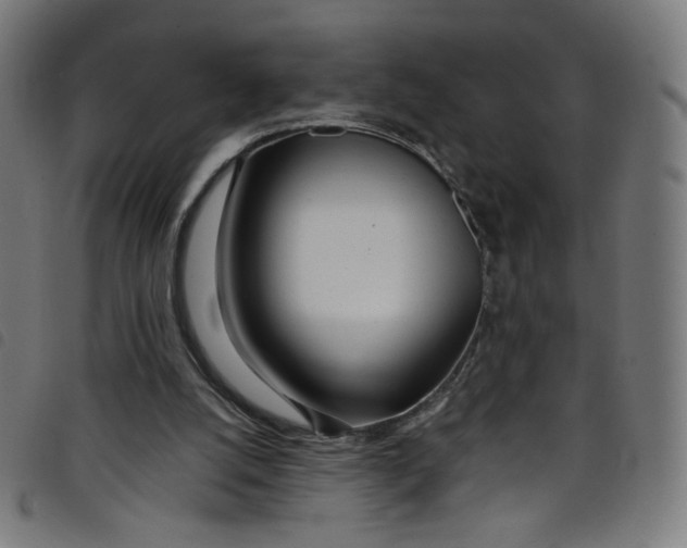 X0000098120056200804251501