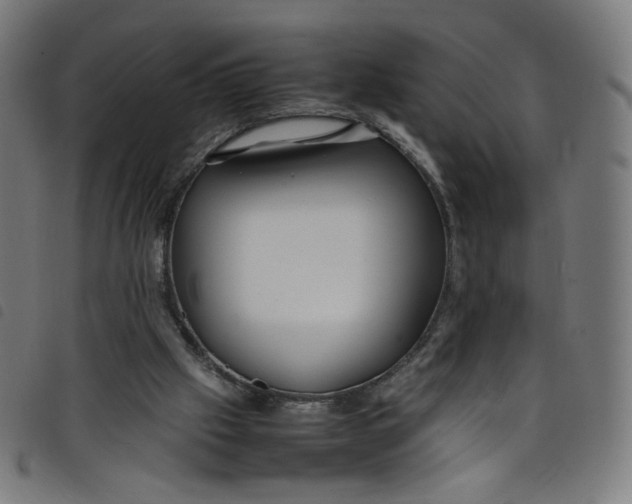 X0000098120057200804251501