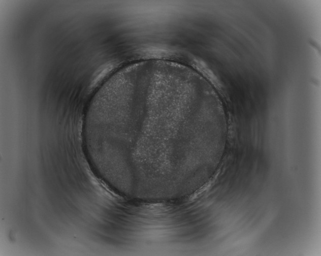 X0000098120058200804251501